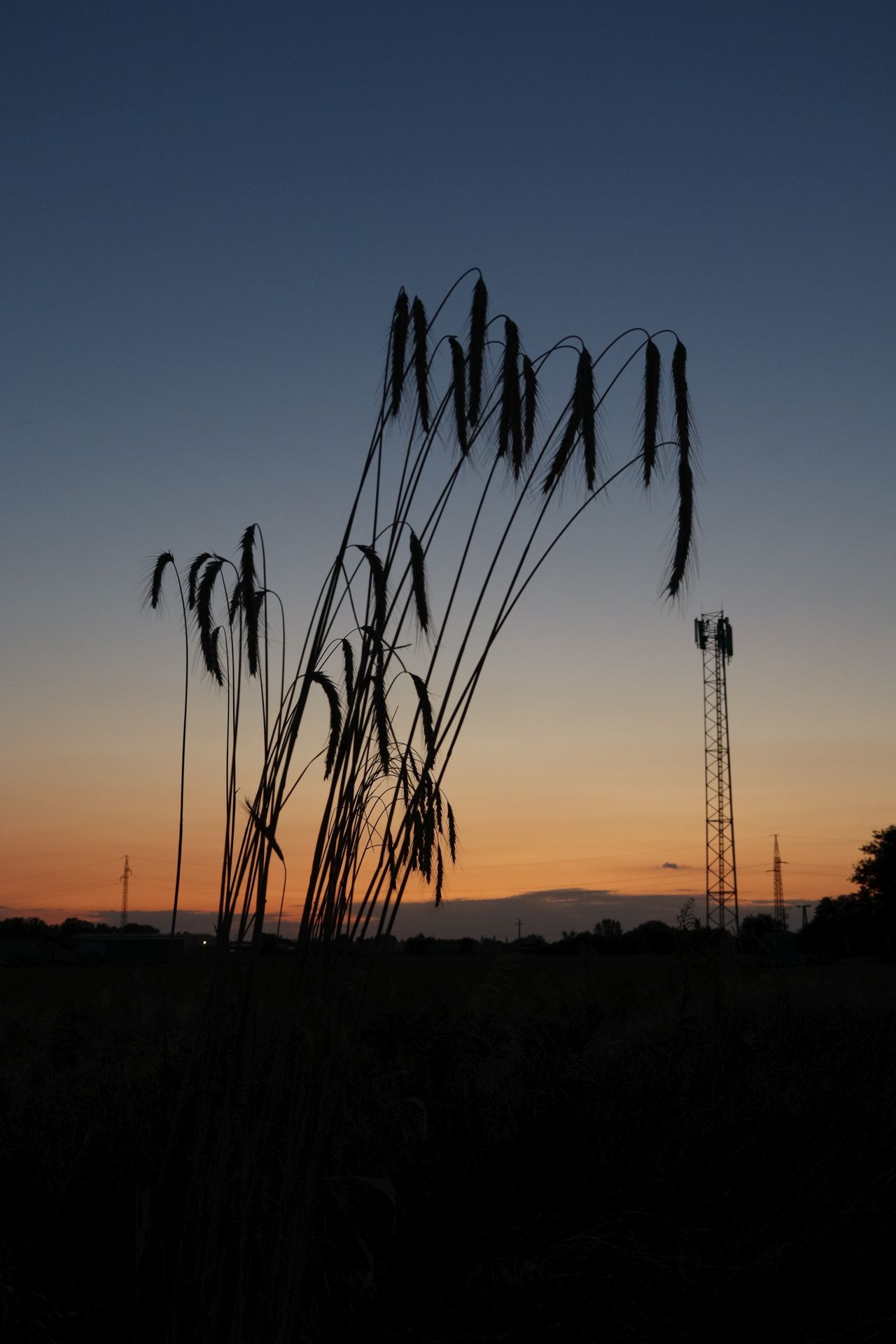 Orbán Tibor Ferenc: Az alkony búcsúja