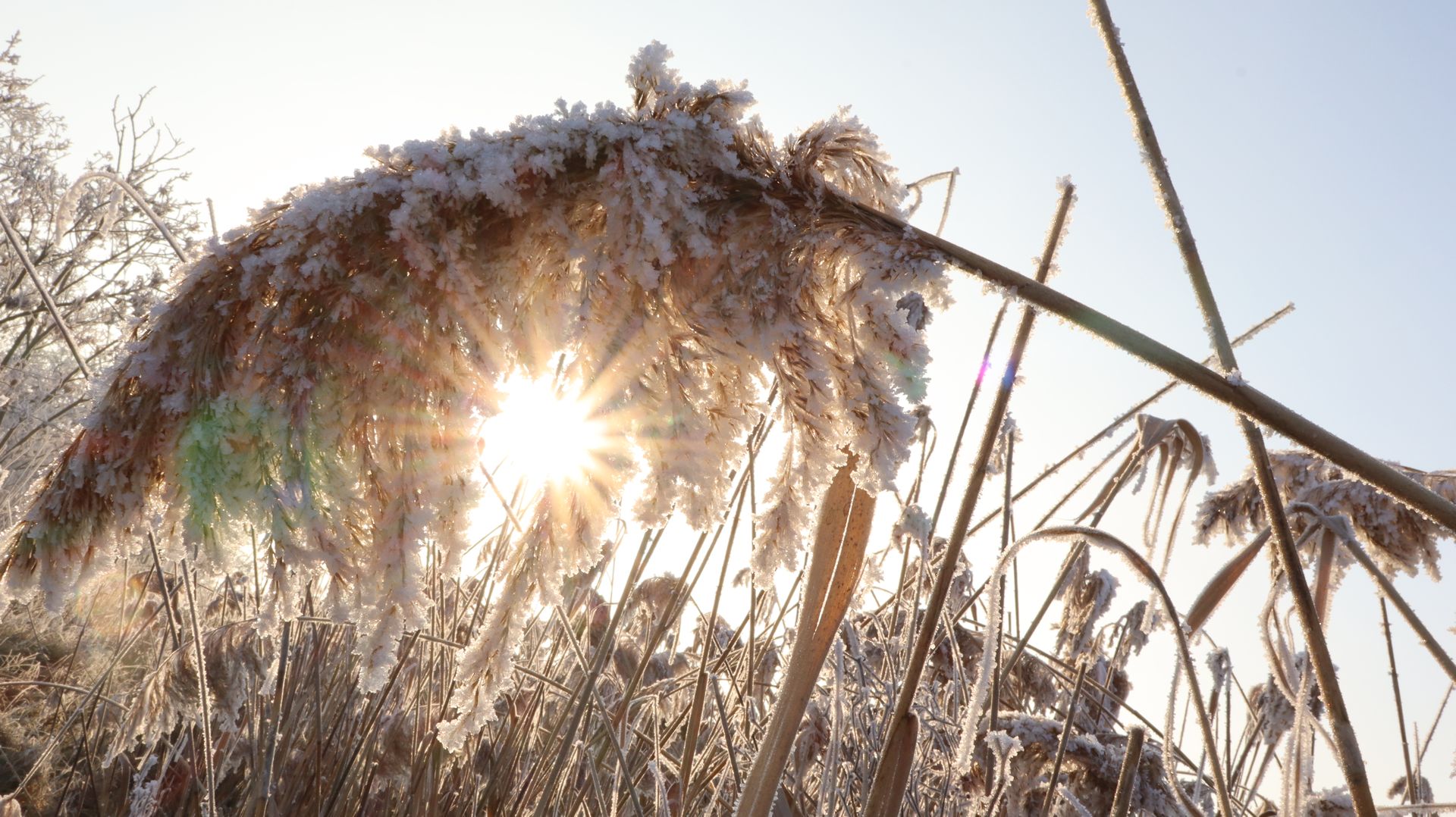 Orbán Tibor Ferenc: Fény a dér mögött