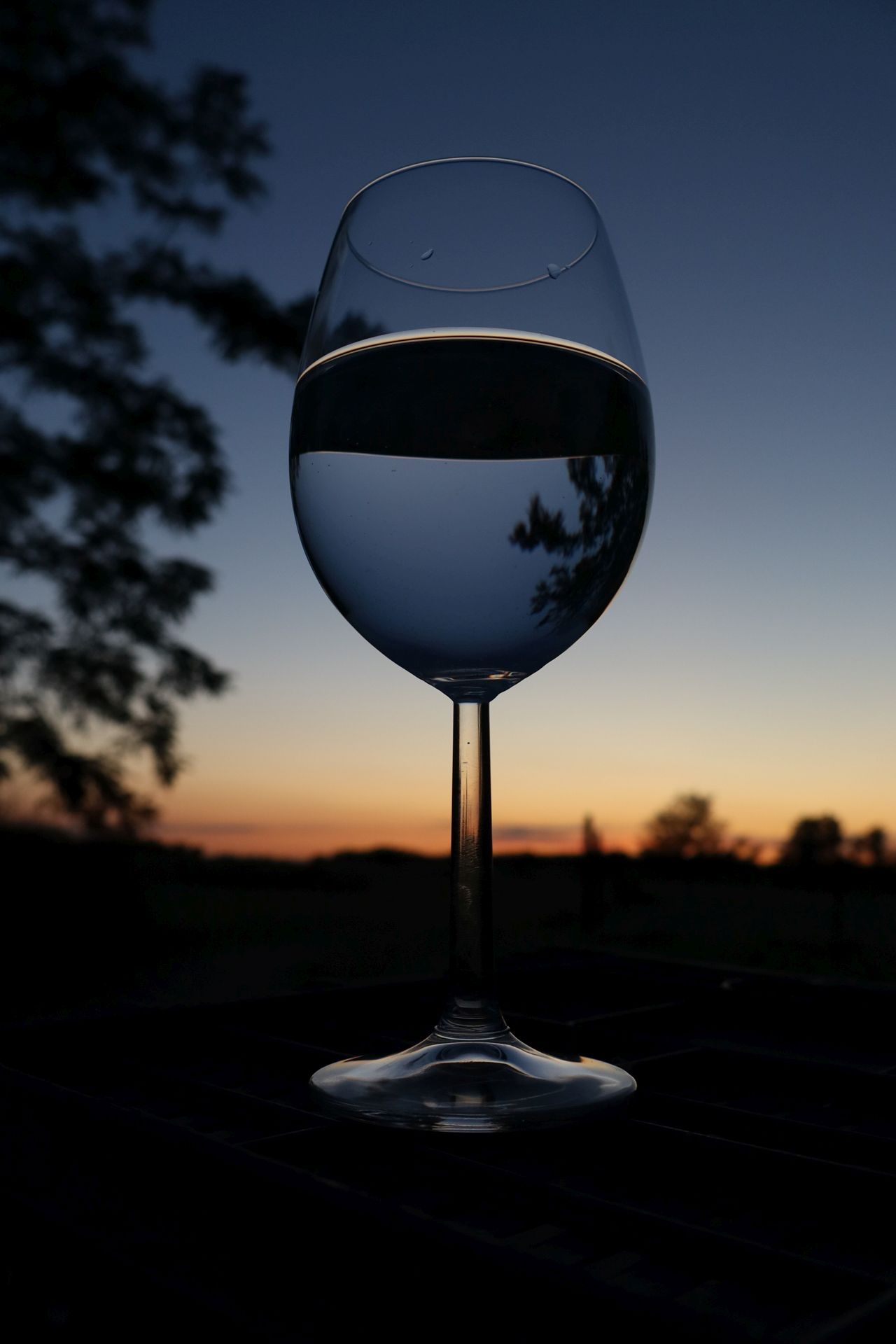 Orbán Tibor Ferenc: Fordított horizont