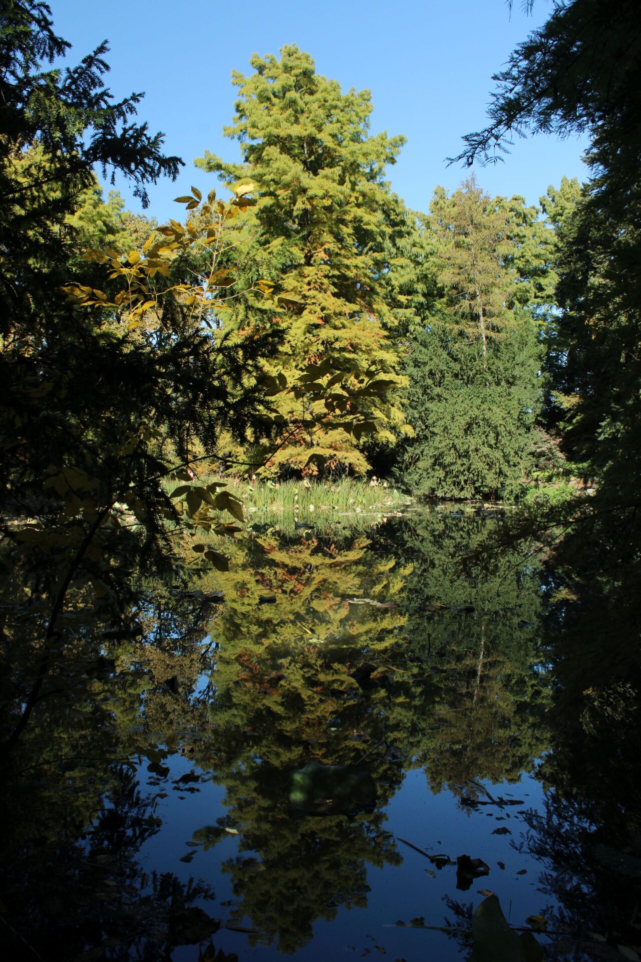 Németh Bernadett: Szimmetria