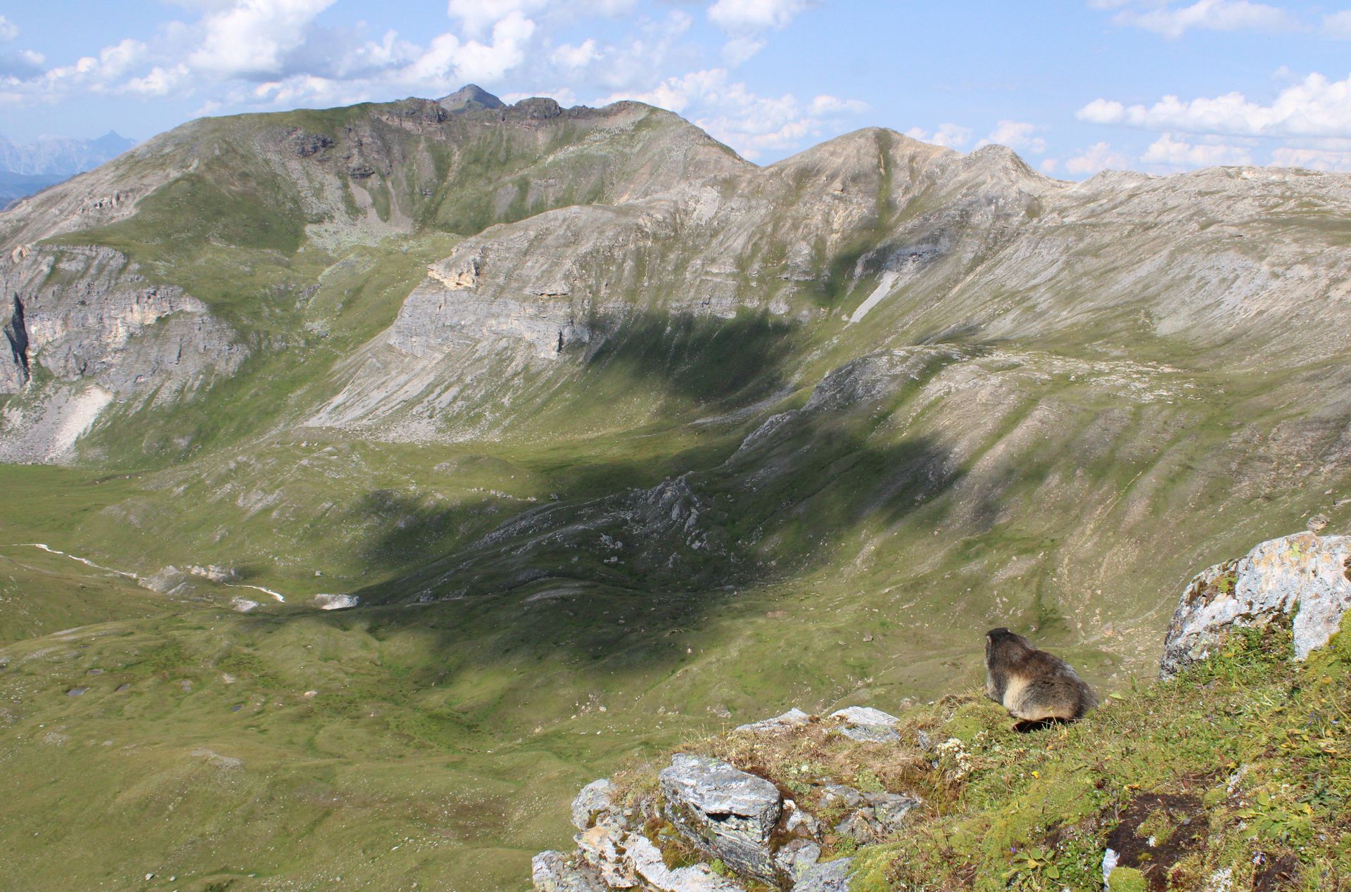 Németh Bernadett: Hegyek őrszeme