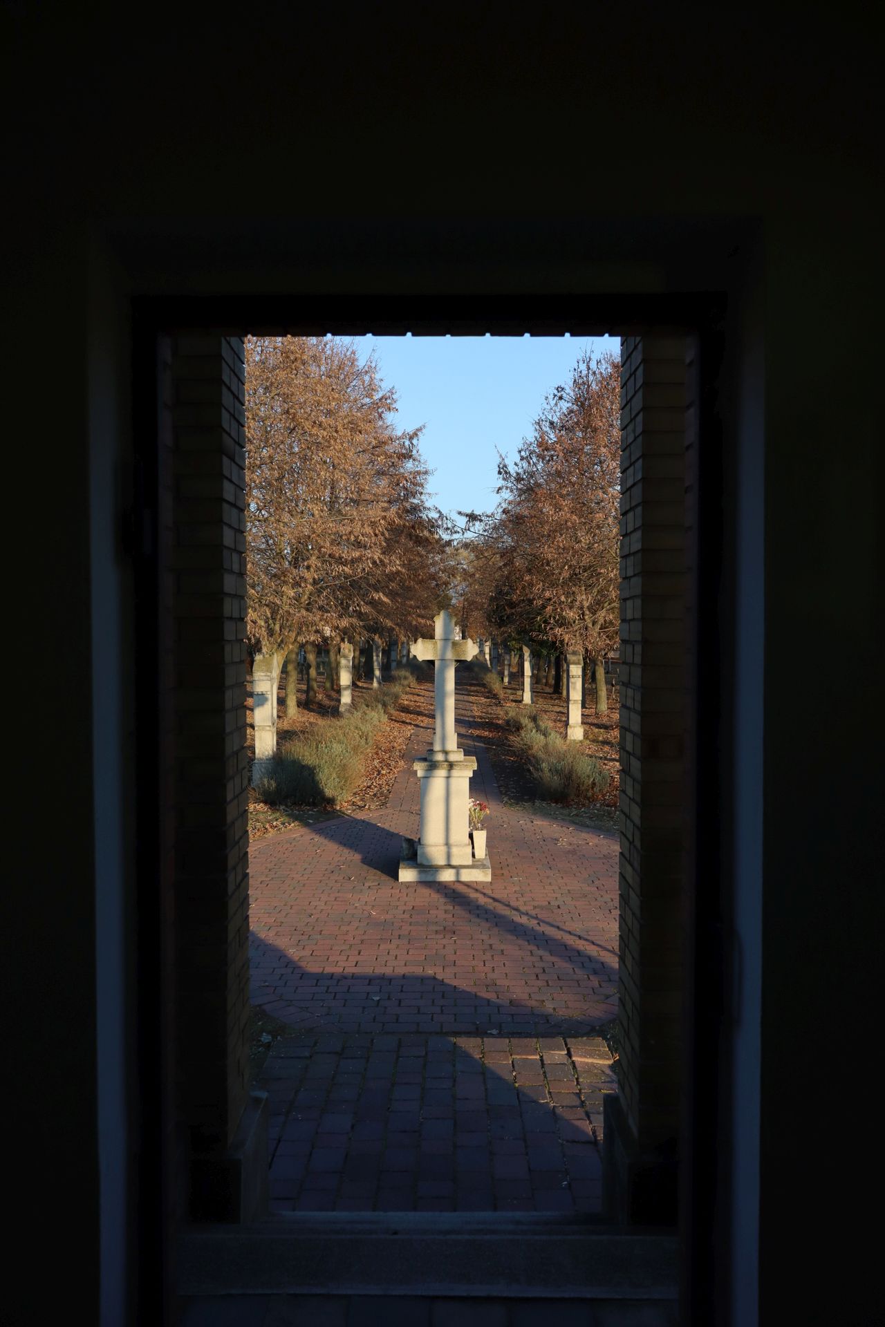 Orbán Tibor Ferenc: Kilépés a fénybe