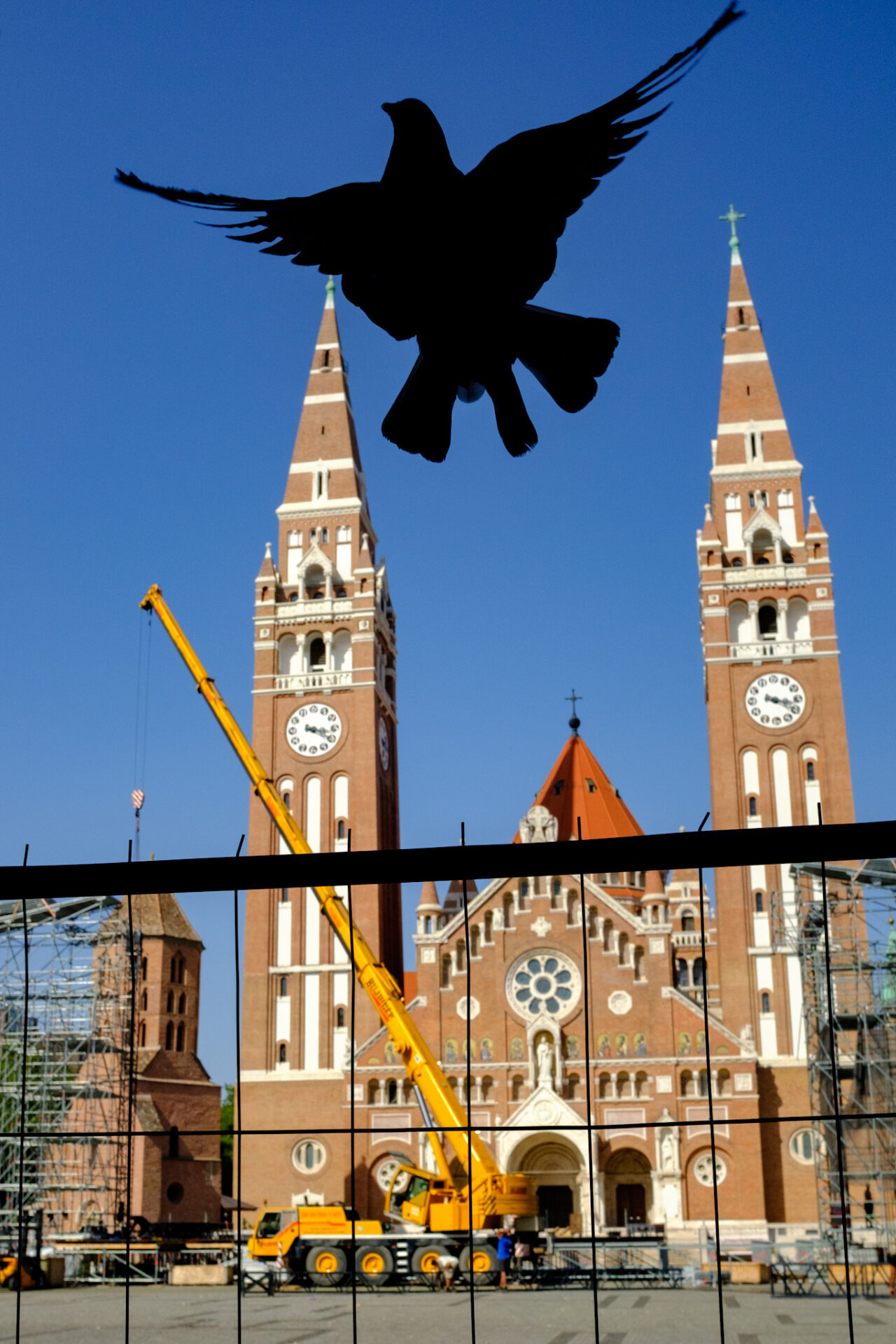 Tóth Balázs: Galamb és Dóm