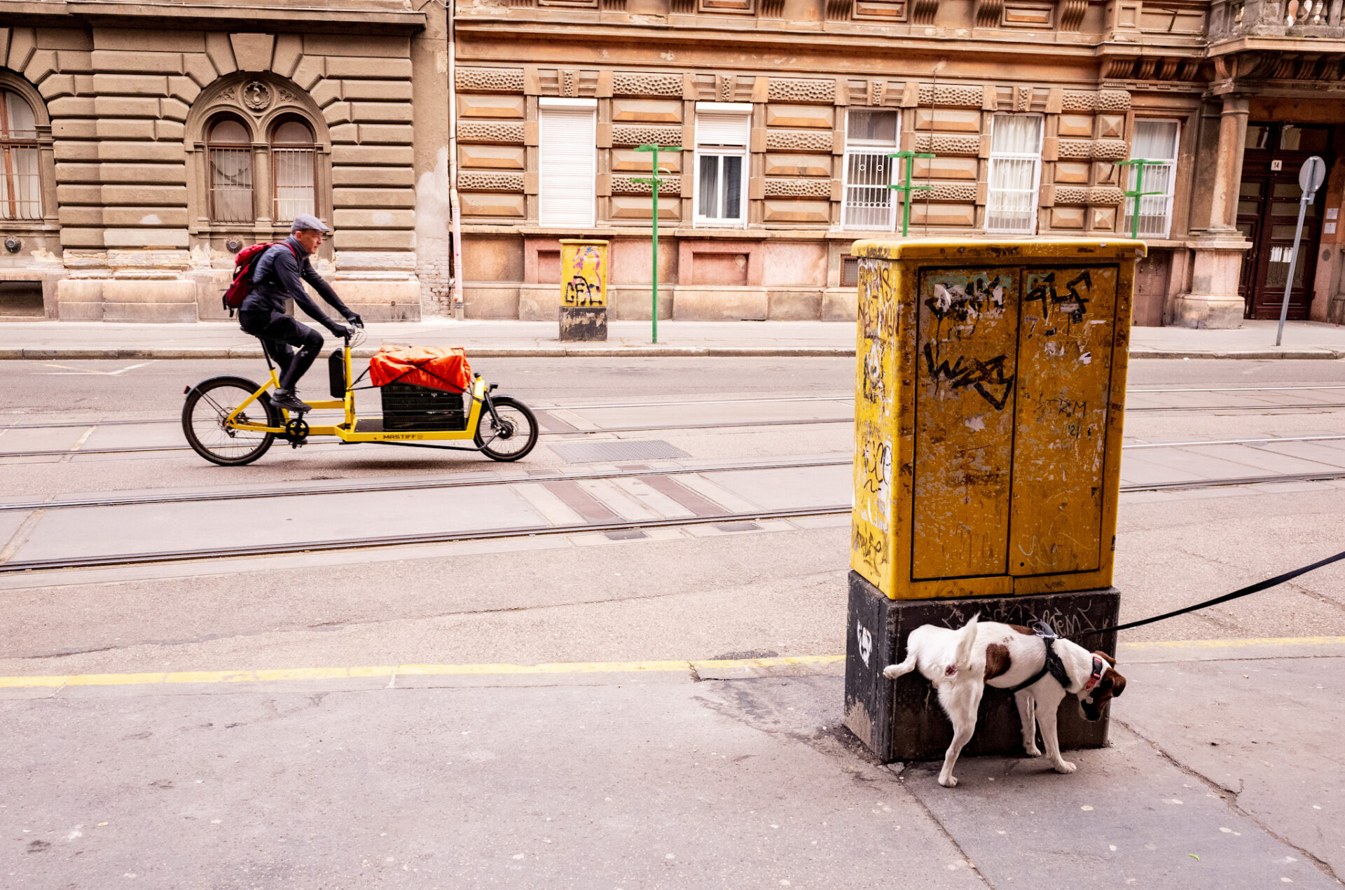 Tóth Balázs: Népszínházi rendezés