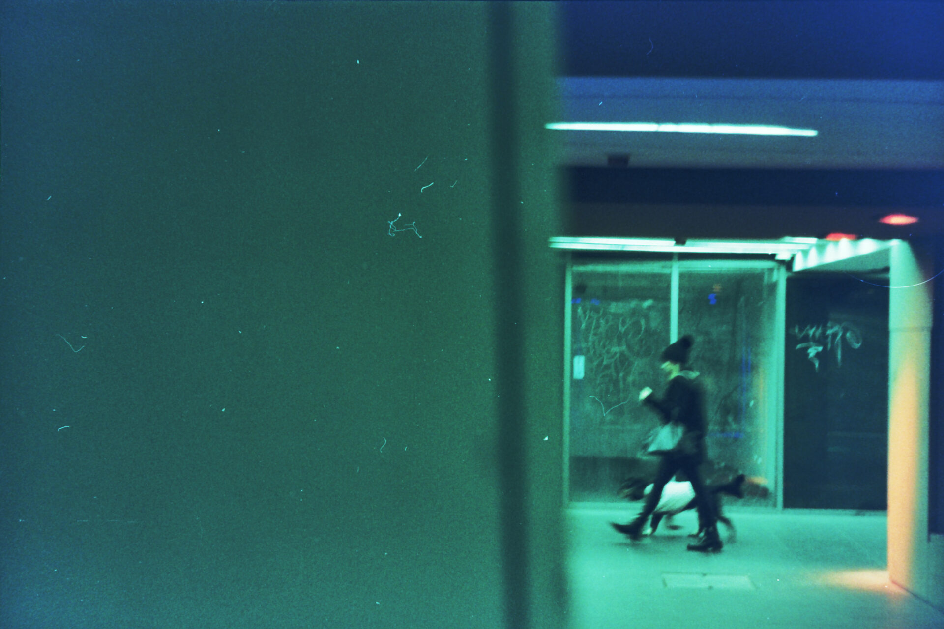 Sallay Gergely: Aluljáró