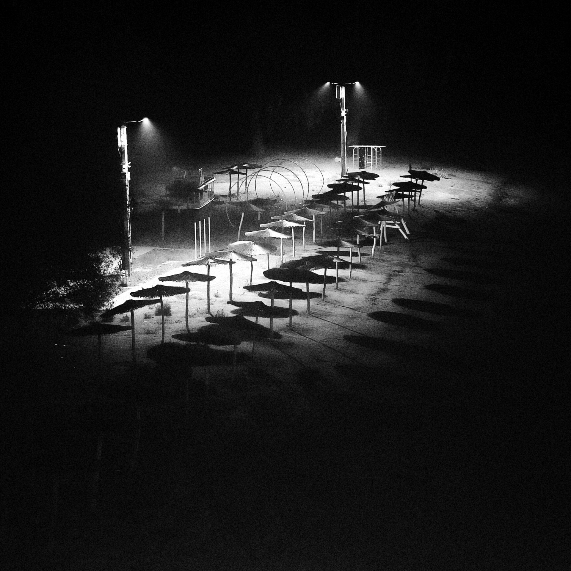 Sallay Gergely: Ernyők