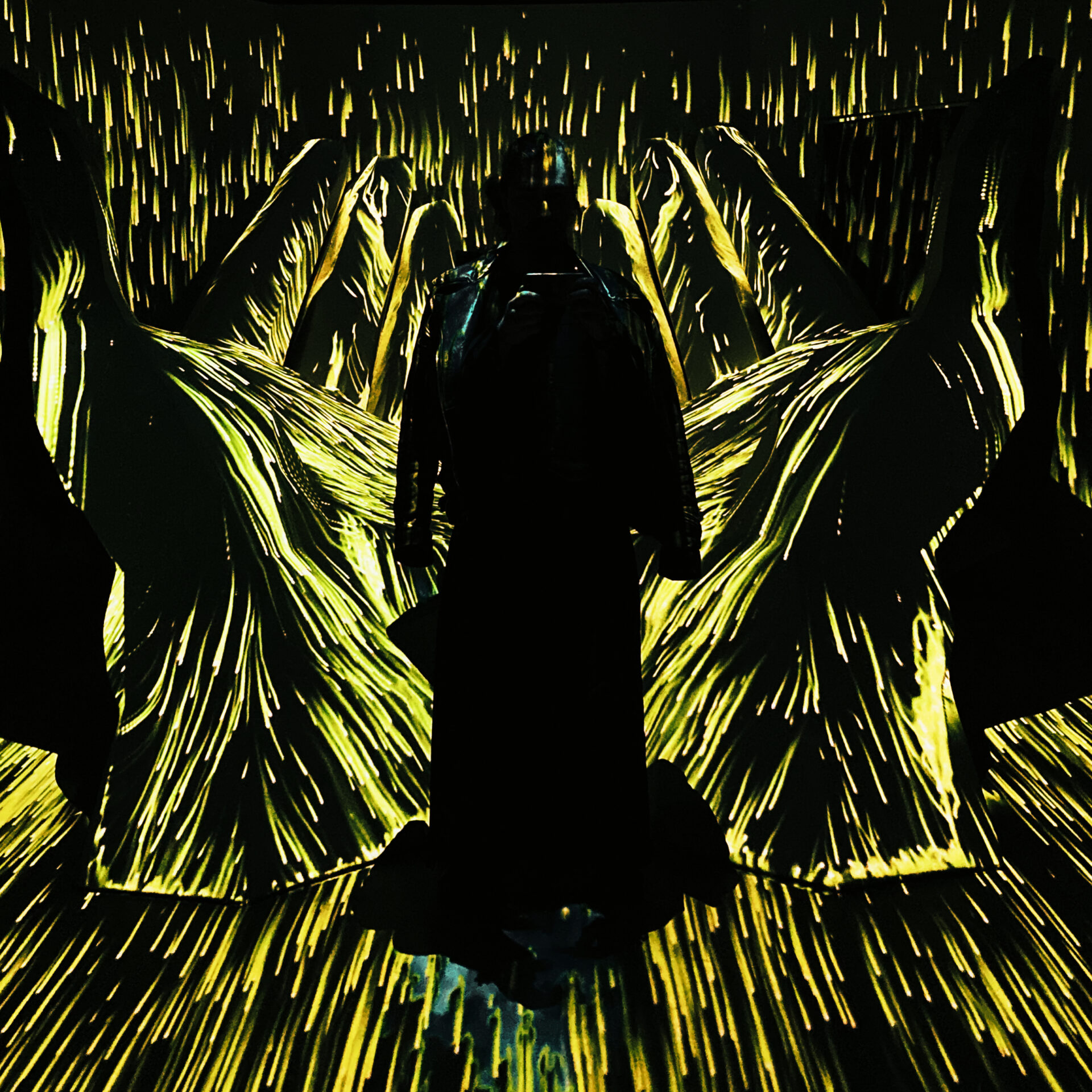 Sallay Gergely: Önárnykép